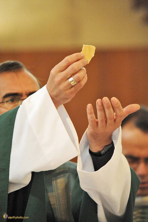 Nom de l'image : D30031027_1_(c)Norbert-JUNG — Description :